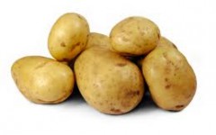 Recordhoogte aardappeloogst